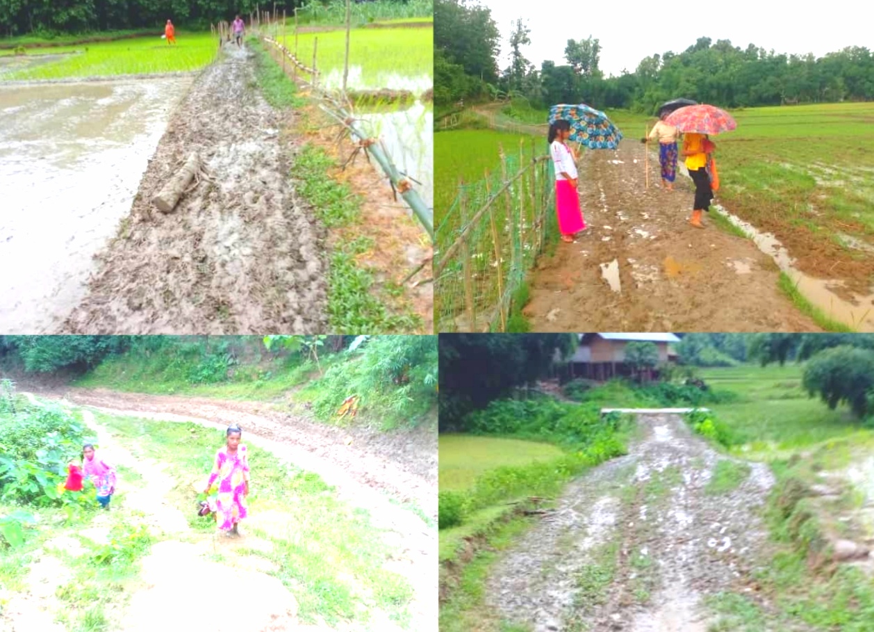 লামার  রূপসীপাড়া ইউনিয়নে সড়কের বেহাল দশা, ভোগান্তিতে হাজারও মানুষ