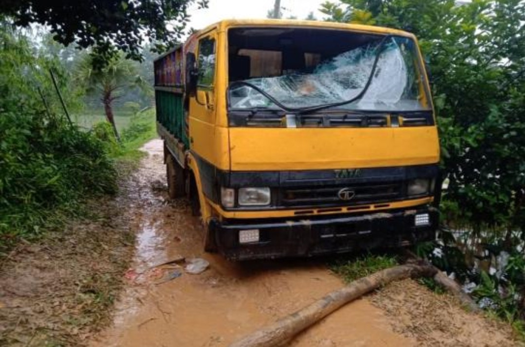 কাদায় আটকে গেল ট্রাক, চুরি হওয়া ৪ গরু উদ্ধার