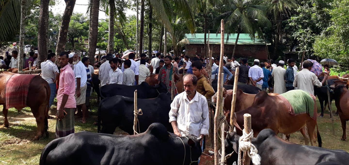 খুটাখালীতে জমে উঠেছে পশুর হাট, নানান দুঃচিন্তায় খামারীরা!