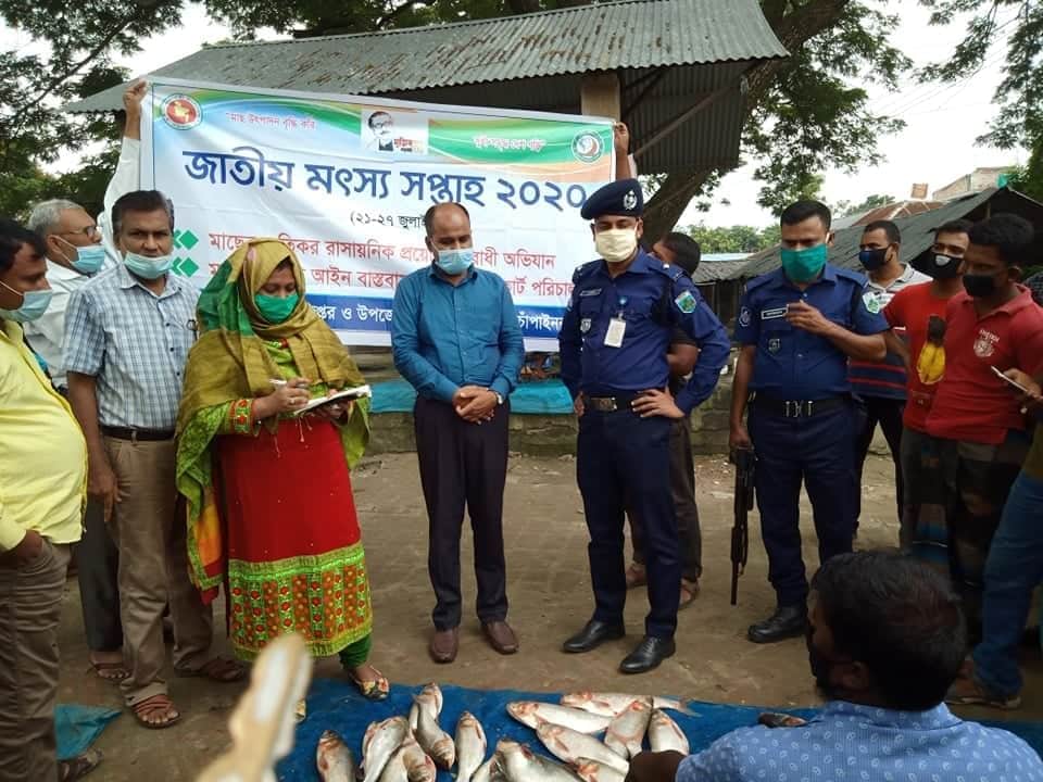 নাচোলে ভ্রাম্যমান আদালতের অভিযান, মাছ বিক্রেতাকে ৩ হাজার টাকা জরিমানা 