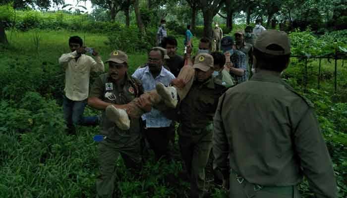 ভূমিদস্যুদের হামলায় বন কর্মকর্তাসহ আহত ৫
