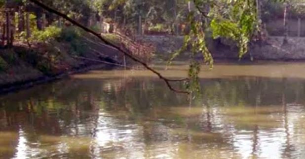 বগুড়ায় মাছ চাষের পুকুরের পানিতে বিদ্যুতায়িত হয়ে পিতা-পুত্রের মৃত্যু