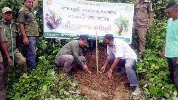 লামা বন বিভাগের উদ্যোগে আলীকদমে তালগাছ রোপন কার্যক্রম উদ্বোধন
