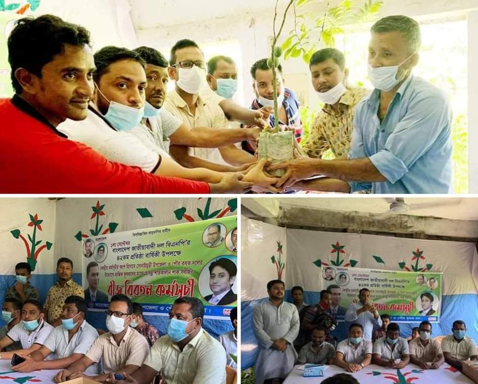 সোনাইমুড়িতে কৃষকদলের বীজ ও গাছের চারা বিতরণ 