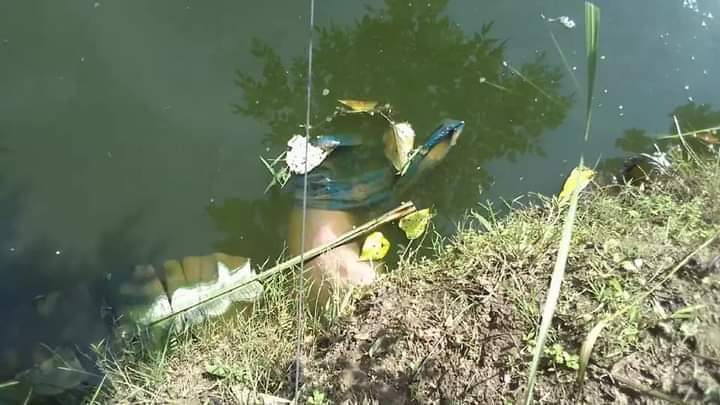 লামার আজিজনগরে পানিতে ভাসছে ষাটোর্ধ বৃদ্ধের লাশ! 