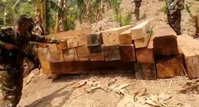 বান্দরবান আলীকদমে ২৬৮পিচ অবৈধ কাঠ জব্দ করেছে সেনাবাহিনী
