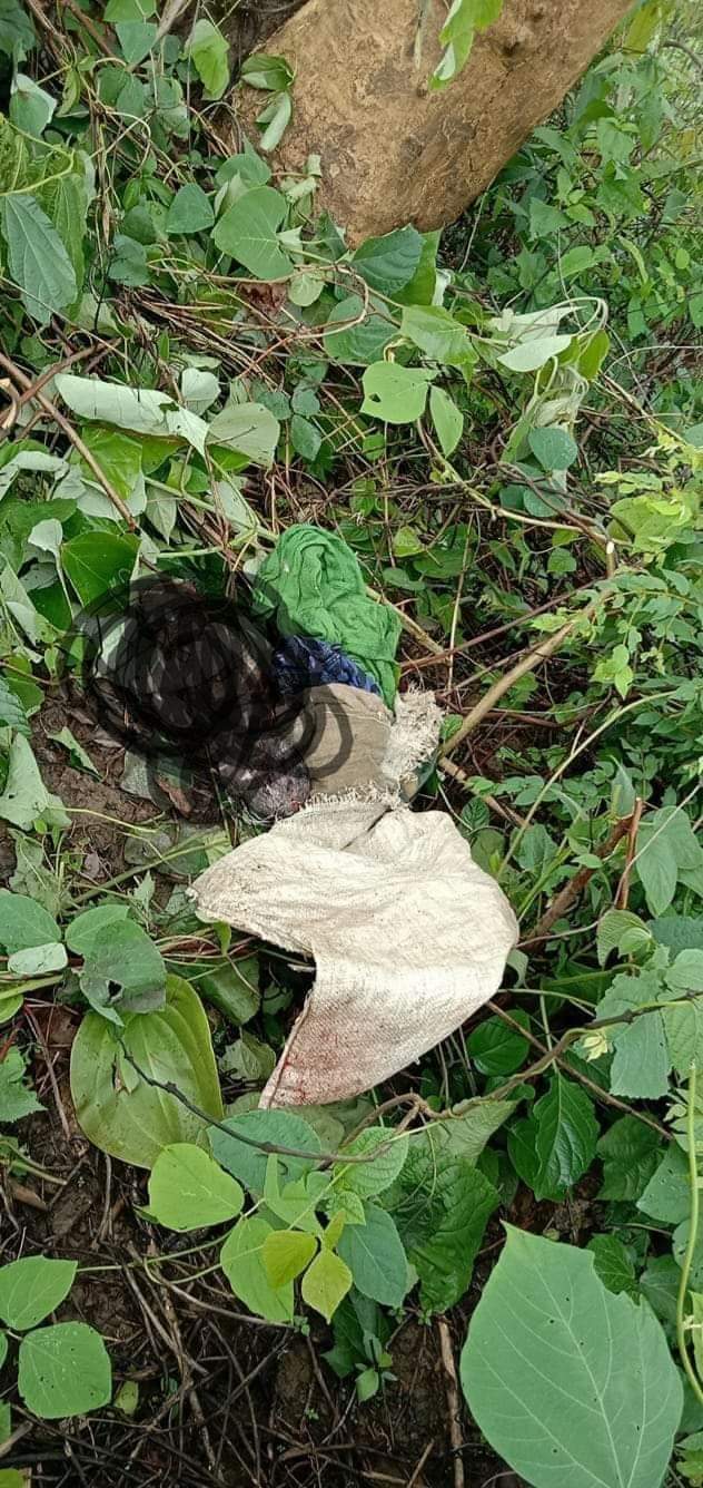 আলীকদম উপজেলার ২নংচৈক্ষ্যং ইউনিয়নে শাহাবাগ পাড়ায় নবজাতক লাশ উদ্ধার 