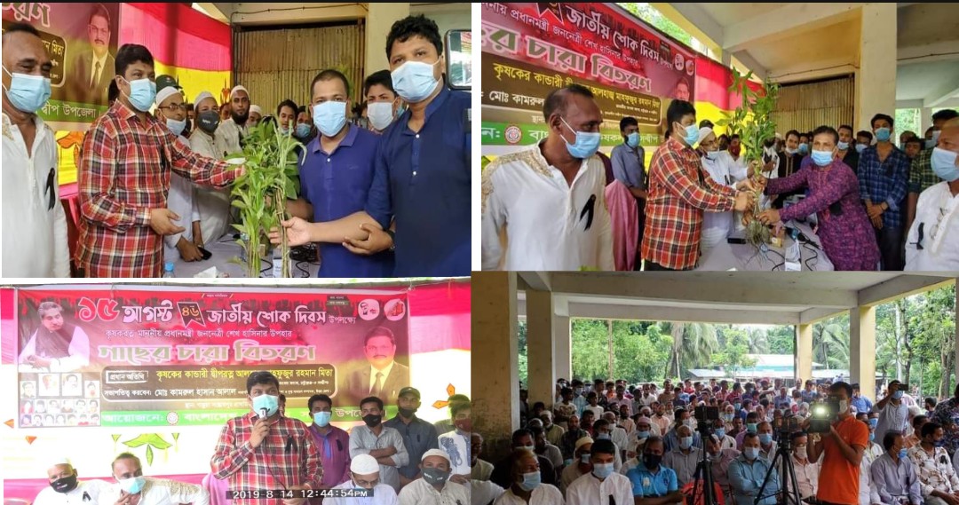 জাতীয় শোক দিবস উপলক্ষে সন্দ্বীপে কৃষক লীগের গাছের চারা বিতরণ