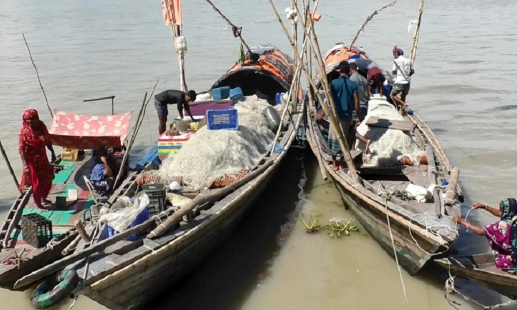২২ দিন ইলিশ ধরা নিষিদ্ধ, ঘরে ফিরছেন জেলেরা