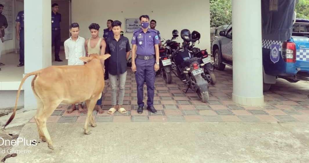 ঈদগাঁওতে চোরাই গরুসহ আটক-৩