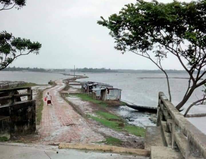খুটাখালীতে চিংড়ি ঘেরে ডাকাতের হানা, মাছ-জালসহ প্রায় অর্ধকোটি টাকা লুটের অভিযোগ!