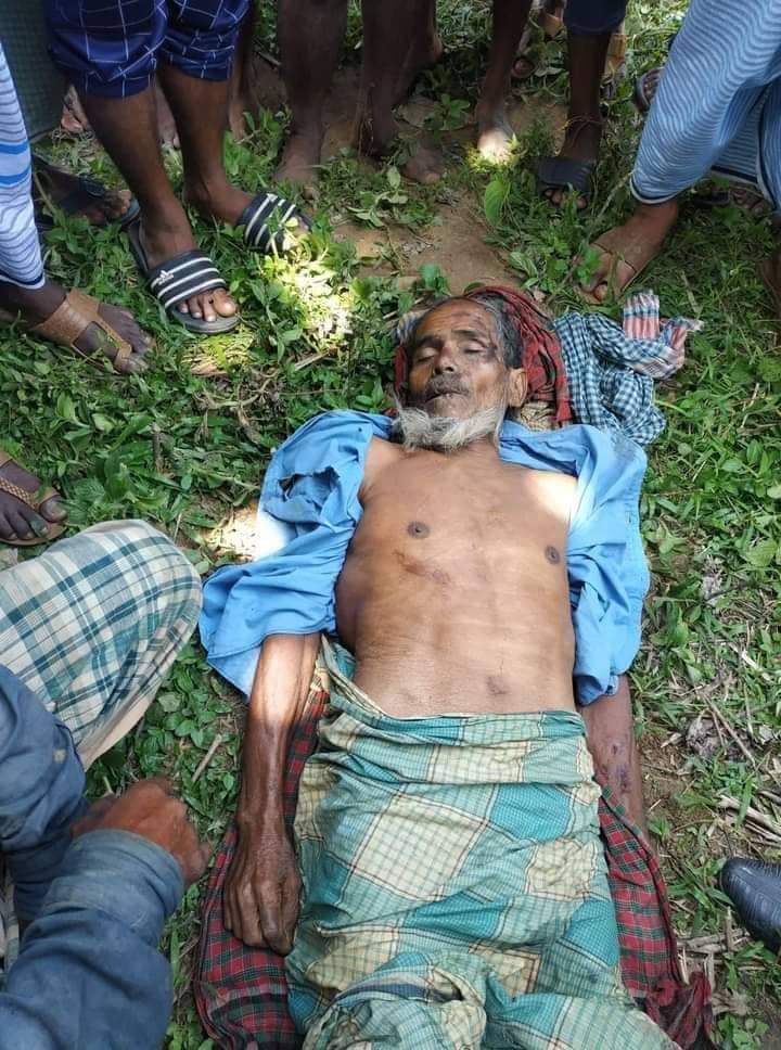 রামুর কচ্ছপিয়ায় বন্য হাতির আক্রমণে ১ দিনমজুর নিহত