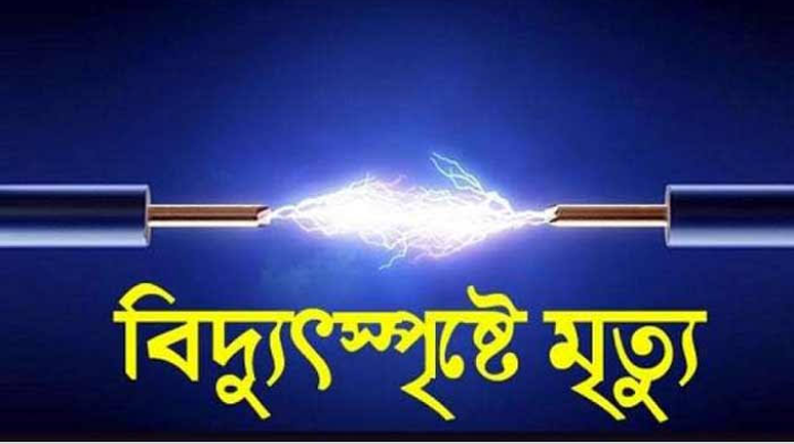 সন্দ্বীপে  বিদ্যুতের খুঁটি হেলে পুকুরে বিদ্যুতাড়িত হয়ে কিশোরী নিহত