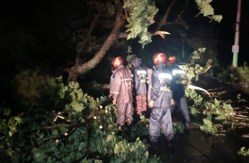 ঘূর্ণিঝড়ে গাছ উপড়ে কুমিল্লায় একই পরিবারের ৩ জন নিহত