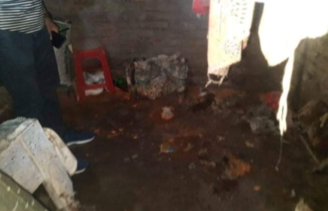 চাঁপাইনবাবগঞ্জে একটি বাড়িতে ককটেল বিস্ফোরণ, মা ছেলে গুরুতর আহত 