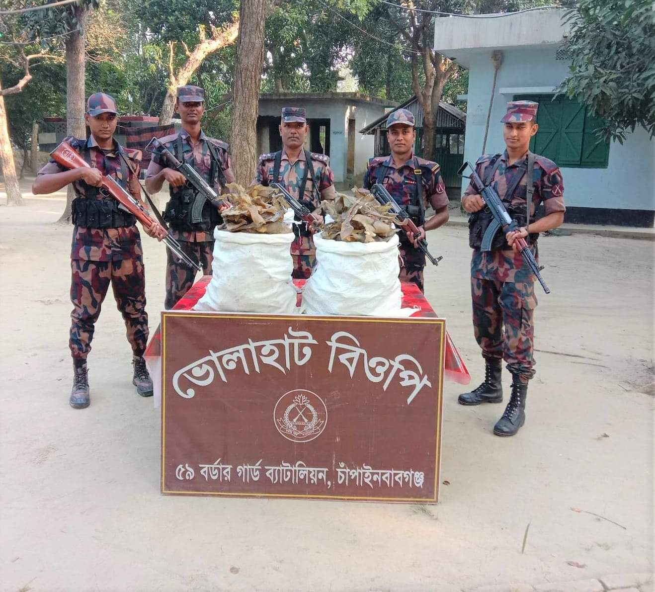 চাঁপাইনবাবগঞ্জের ভোলাহাটে ৫১ কেজি কচ্ছপের হাড় জব্দ করেছে বিজিবি 