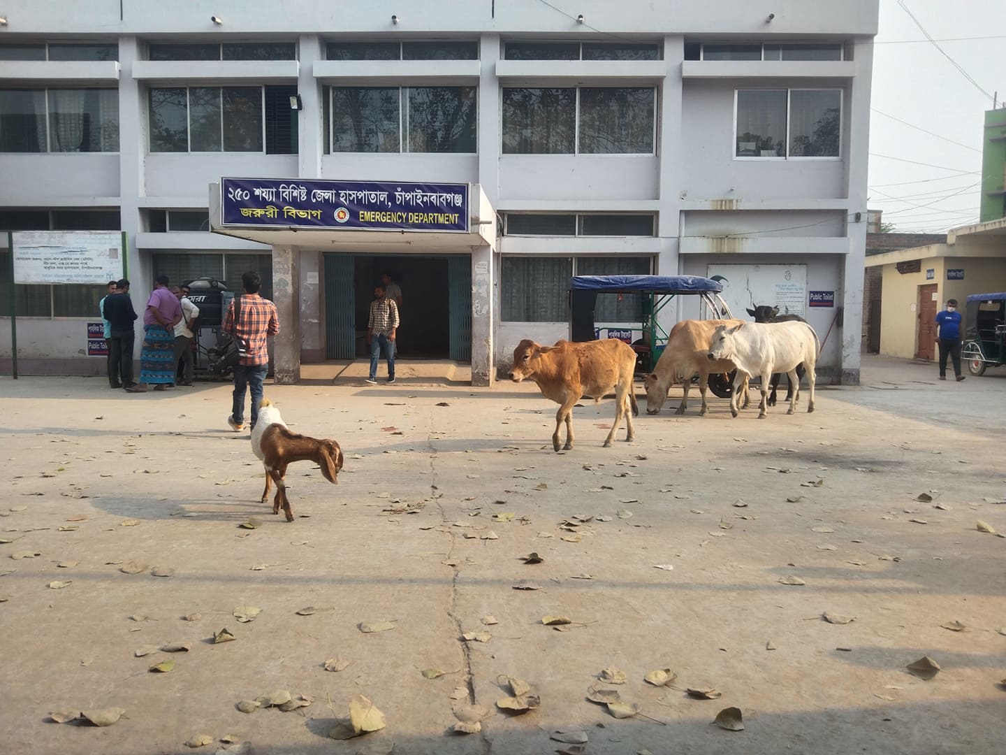 প্রথম পর্ব চাঁপাইনবাবগঞ্জ ২৫০ সয্যা বিশিষ্ট জেলা হাসপাতালের চাল-চিত্র-১  জরুরি বিভাগে রোগী রেখে কেক কাটতে ব্যস্ত  চিকিৎসক, হাসপাতালে হট্টগোল