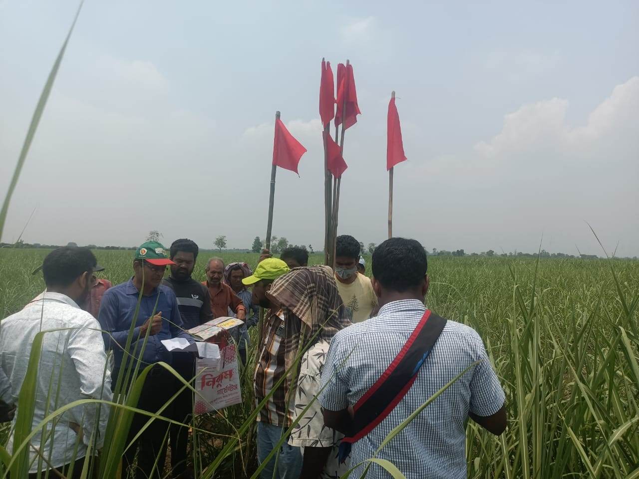 শিবগঞ্জে ১২বছর পর আদালতের মাধ্যমে জমি ফেরত পেল বিপ্লব
