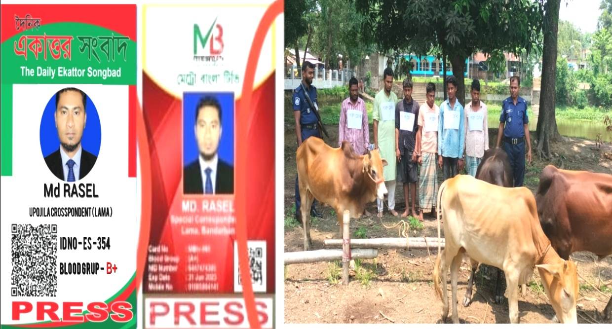 বান্দরবান জেলার লামা ও আলীকদম উপজেলার গরু চোর সিন্ডিকেটের ৬ সদস্য গ্রেফতার