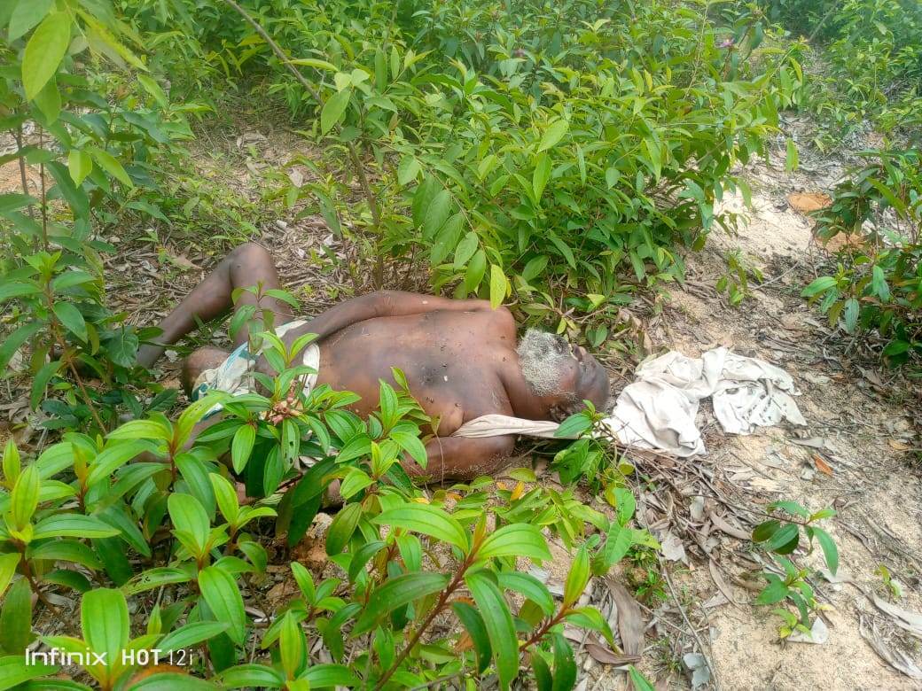 খুটাখালী বনভুমির জঙ্গল থেকে অজ্ঞাত বৃদ্ধের লাশ উদ্ধার
