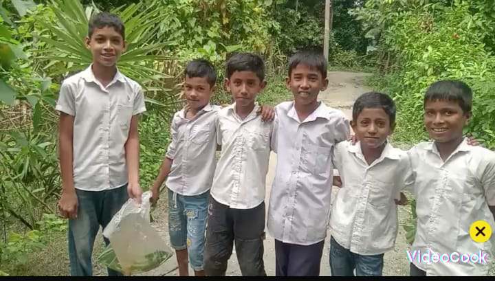 সন্দ্বীপে শিক্ষকের বিরুদ্ধে ছাত্র-ছাত্রীদের দিয়ে  কচুশাক তুলার অভিযোগ : ভিডিও সামাজিক যোগাযোগ মাধ্যমে ভাইরাল