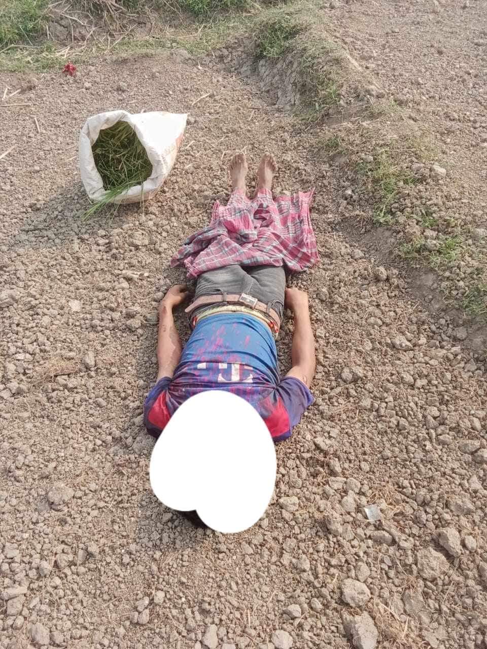 রাজশাহীর গোদাগাড়ী সীমান্তে ঘাস কাটতে গিয়ে বিএসএফের গুলিতে এক যুবক নিহত