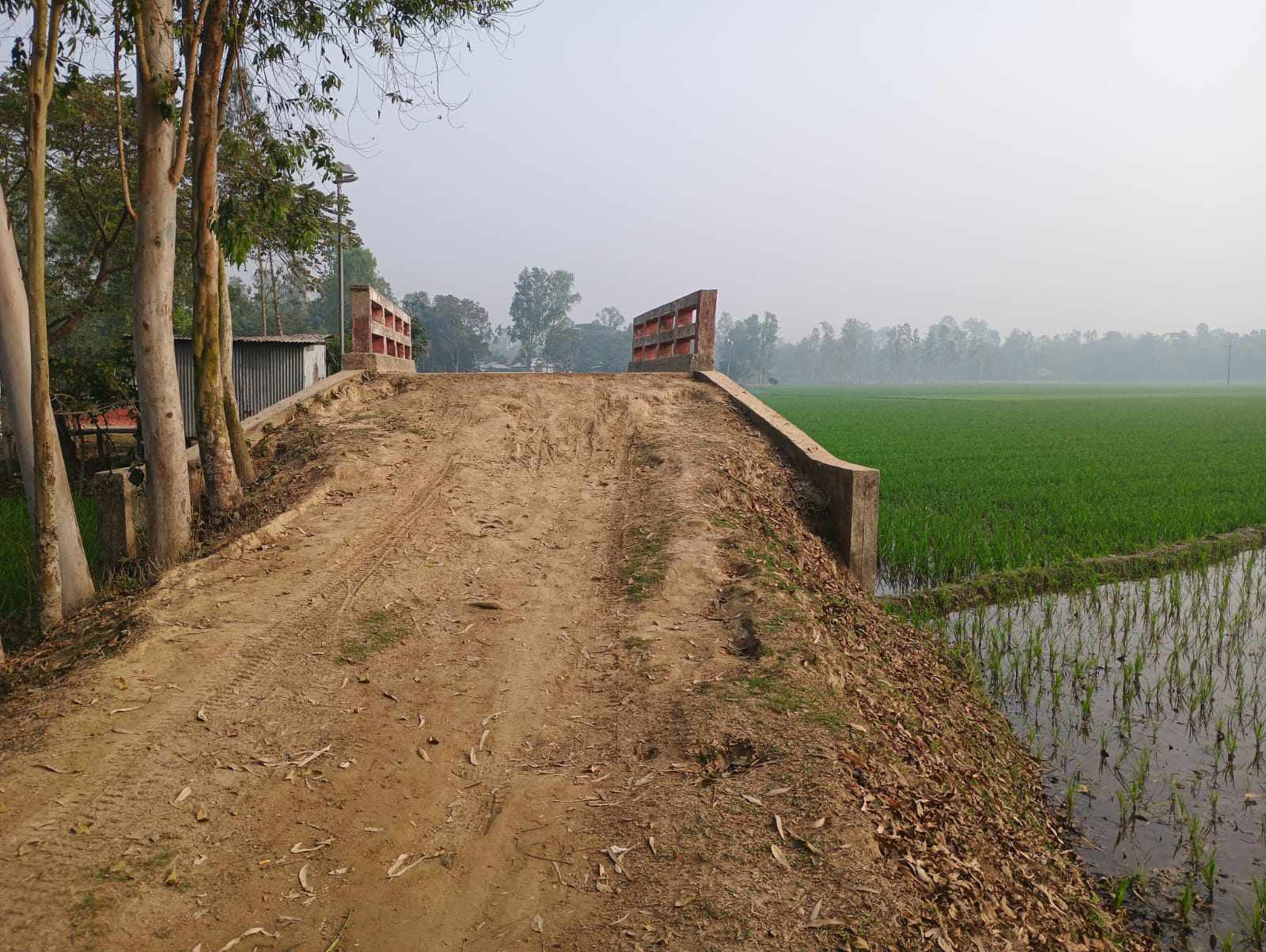 কোন যানবাহন চলতে না পারায় ব্রীজটি এলাকাবাসীর গলার কাটা